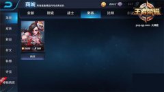  王者荣耀最强刺客排位 